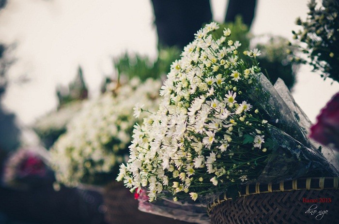 Tình yêu cũng giống như cà phê vậy, sau đắng chát sẽ là ngọt ngào