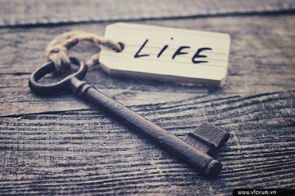 Những câu nói hay về cuộc sống giúp bạn trưởng thành hơn mỗi ngày Những câu nói hay về cuộc sống giúp bạn trưởng thành hơn mỗi ngày