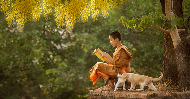 Những câu nói đáng giá ngàn vàng Những câu nói đáng giá ngàn vàng