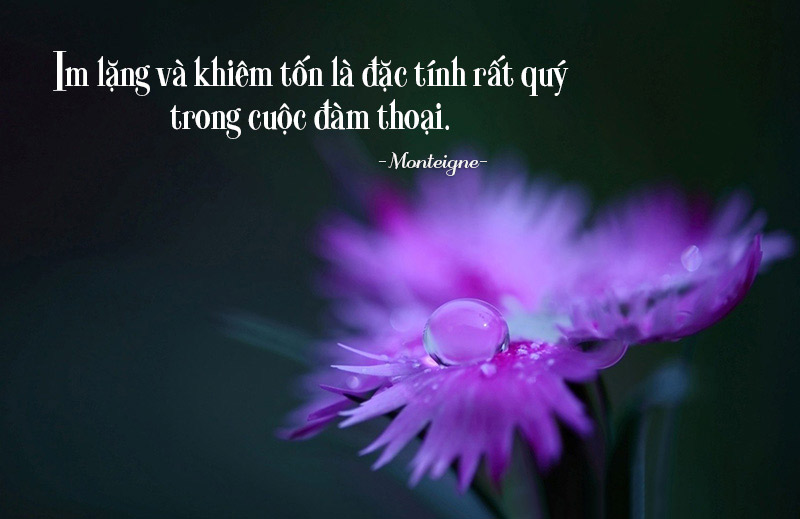 Những câu châm ngôn sống ý nghĩa
