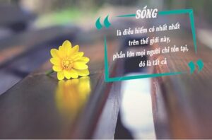 Những câu danh ngôn cực hay về cuộc sống