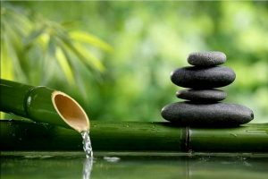 tâm bất biến giữa dòng đời vạn biến