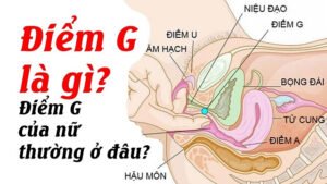 điểm G là gì